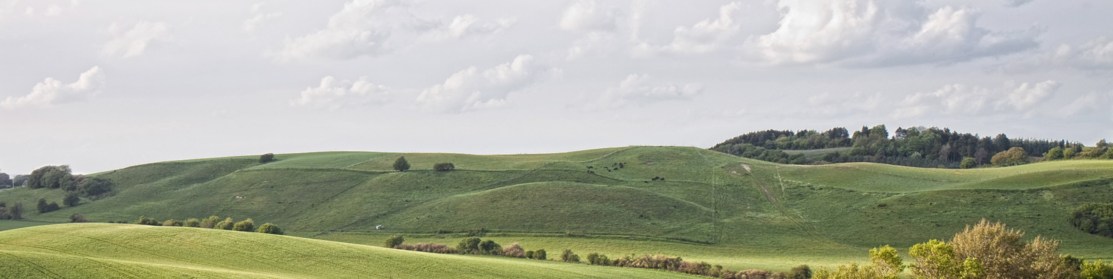 Lorem ipsum dolor? Weit hinten, hinter den Wortbergen, fern der Länder Vokalien und Konsonantien leben die Blindtexte. Abgeschieden wohnen Sie in Buchstabhausen an der Küste des Semantik. 